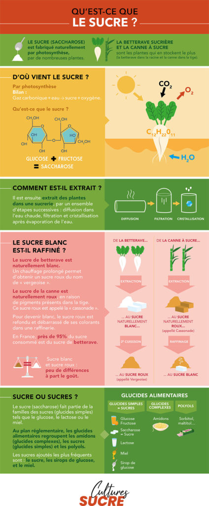 SUCRE DE BETTERAVE VERSUS SUCRE DE CANNE : DIFFICILE D’ETIQUETER LE ...