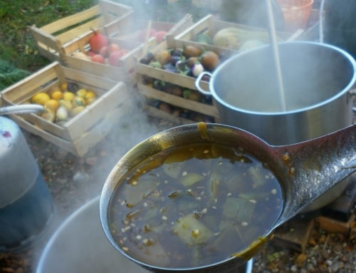 L’atelier de transformation avec la conservation mobile à la ferme de Solaure