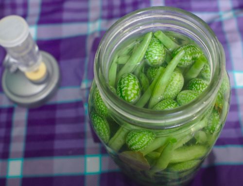 LÉGUMES LACTO-FERMENTES