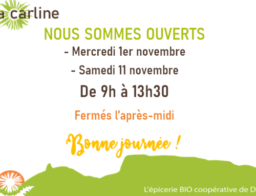 OUVERTURE DES JOURS FERIES DE NOVEMBRE