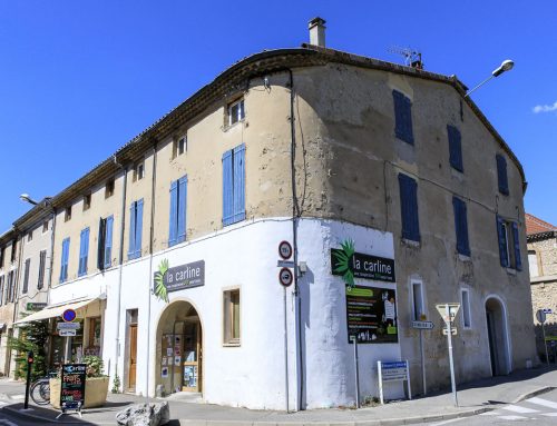 QUESTIONNAIRE CARLINE